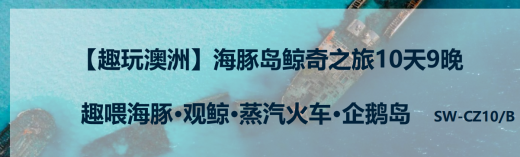 26063010330738591.png