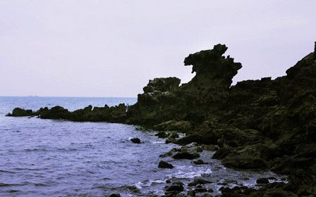 26081711483426427.jpg
