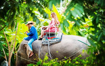 26082011114863956.jpg