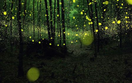 26082015112224795.jpg